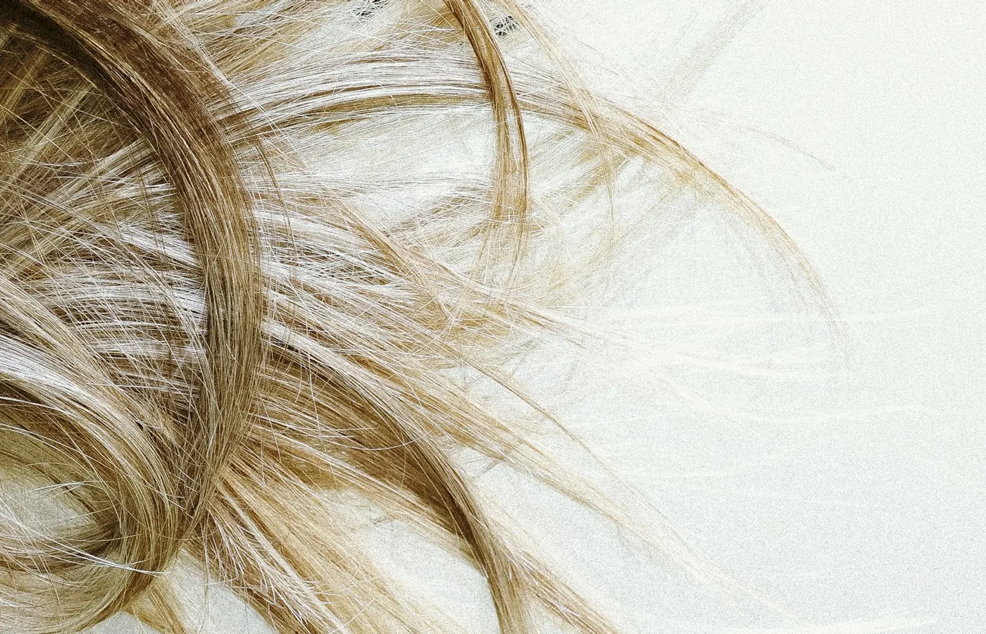 Close-up of pale blonde hair catching the light