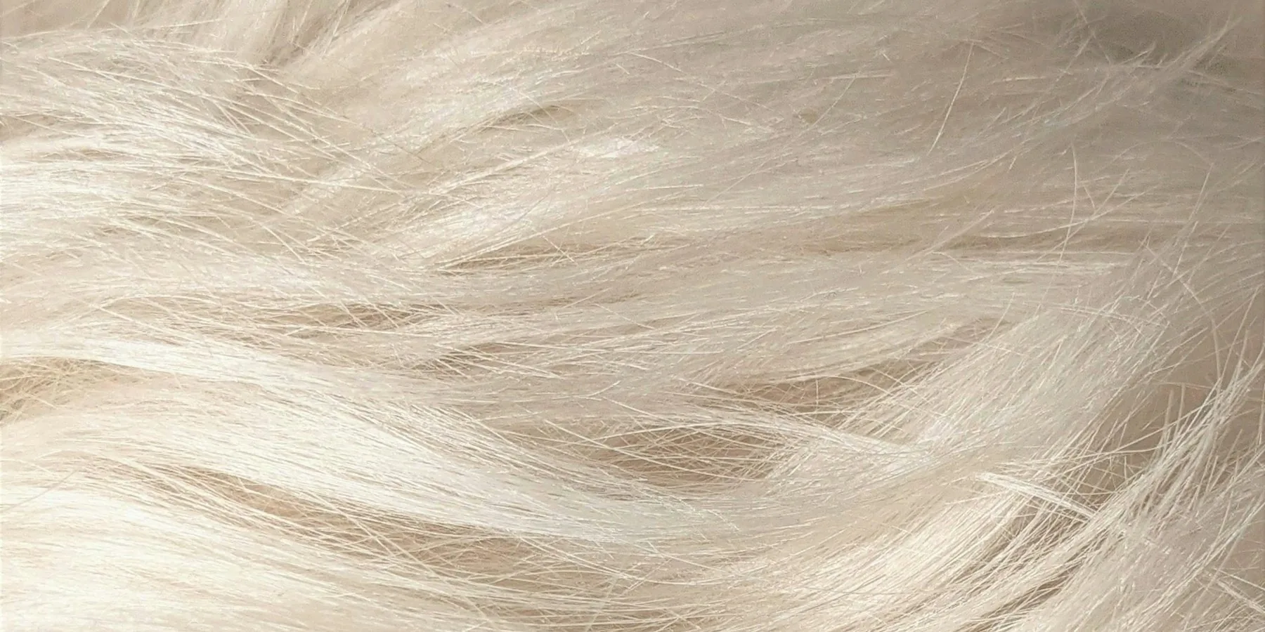 Close-up of platinum hair texture
